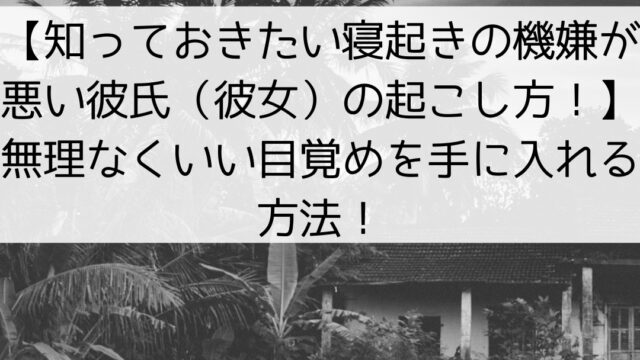 バッグ トレッチャ リュック バックパック リュック Hirofu ヒロフ のファッション